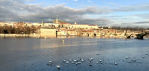 Prague Airbnb Apartments and Studios